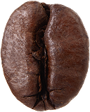 Arabica Coffee Bean