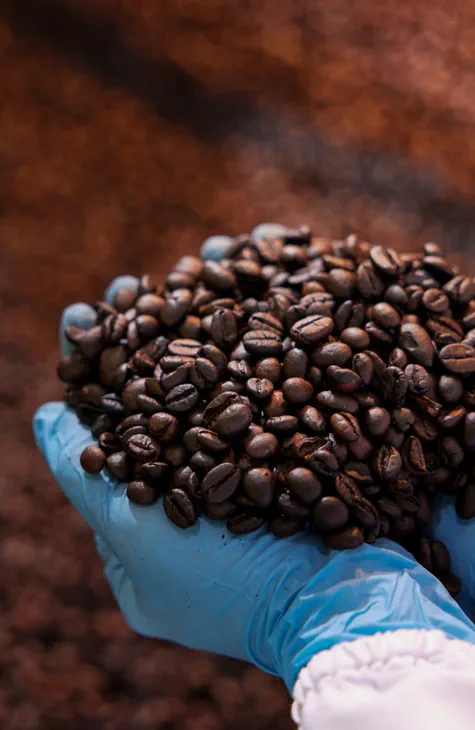 Coffee Expert OEM and ODM Services Huge Kof