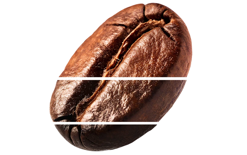 Coffee bean 3 Layers