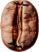 Robusta Coffee Bean